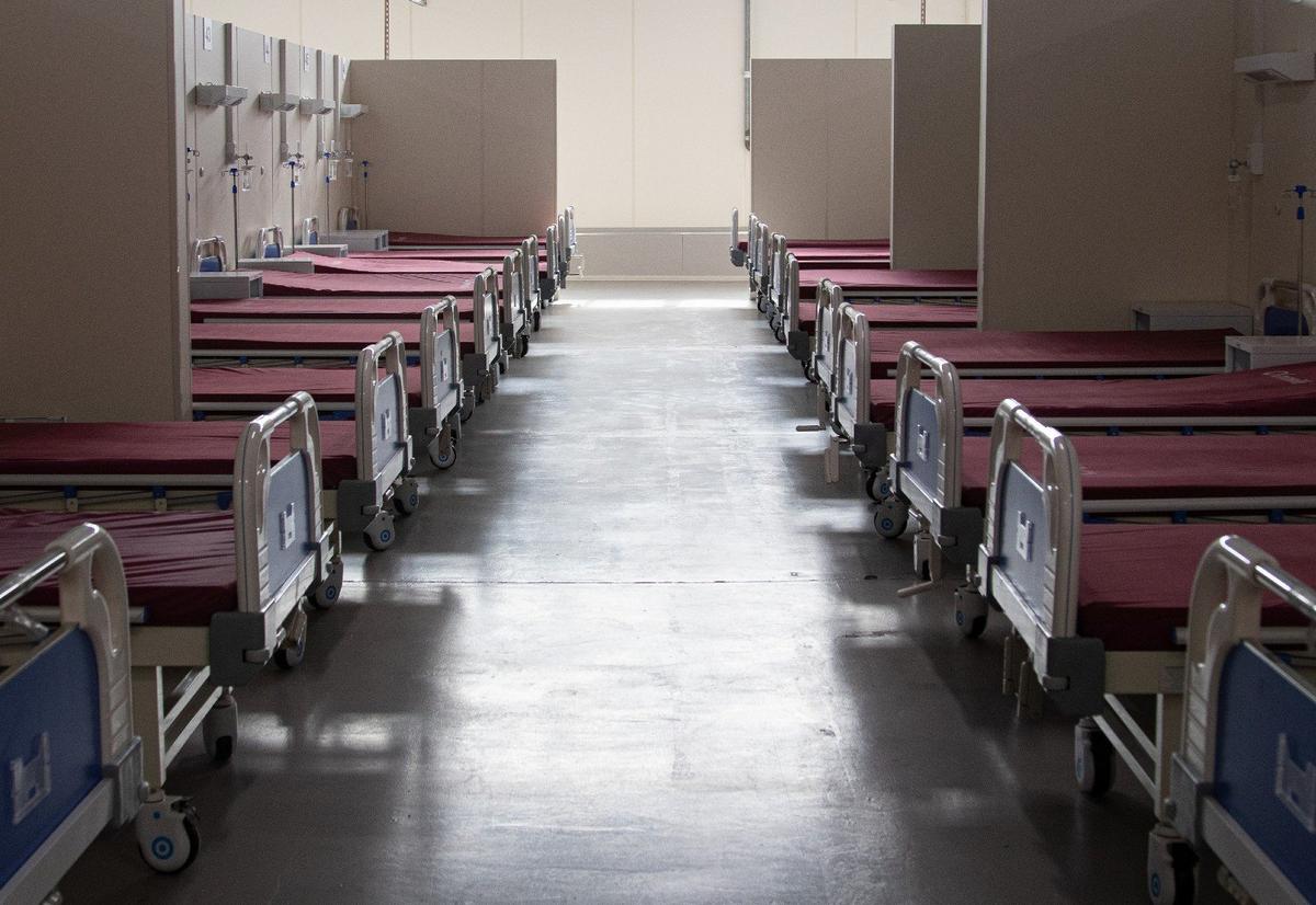 Фото: Савва Приходько