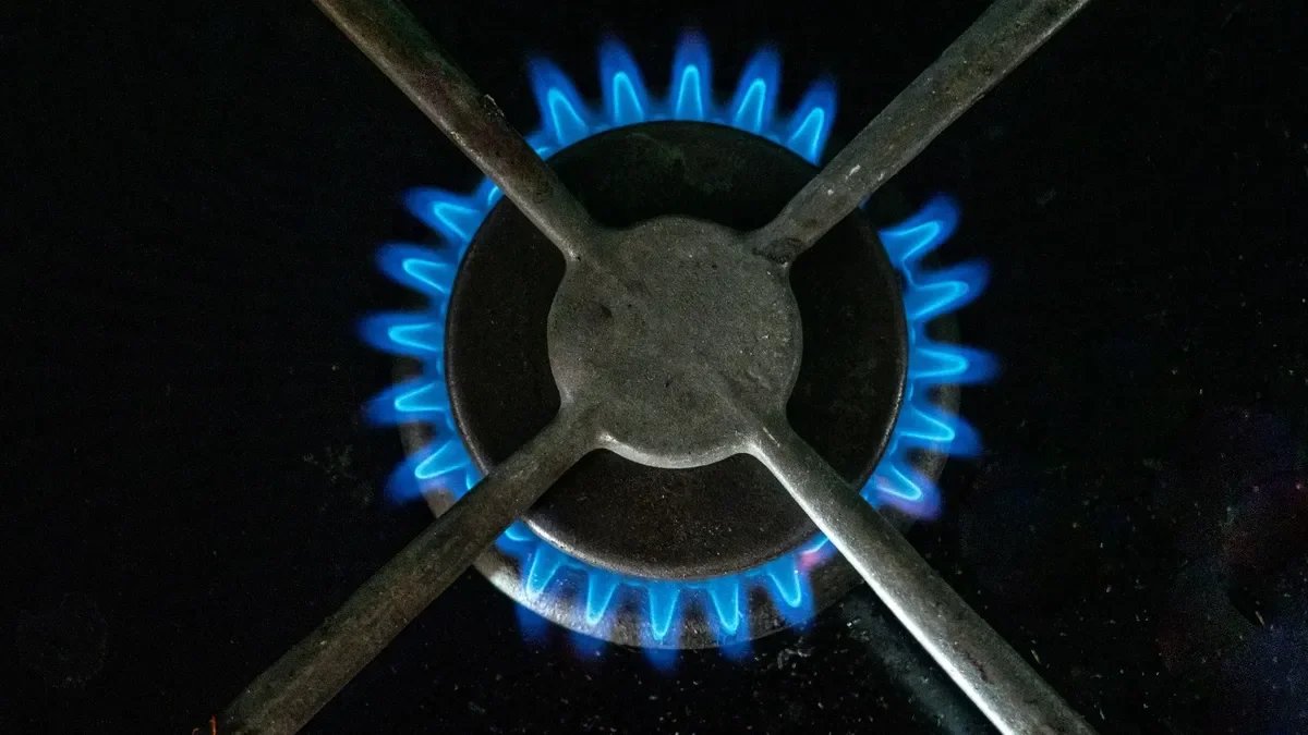 Фото: Олег Золото / МР7