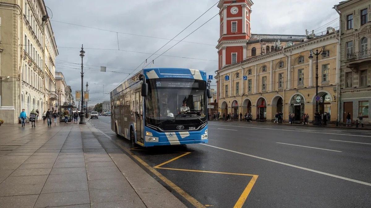 Фото: Олег Золото / МР7