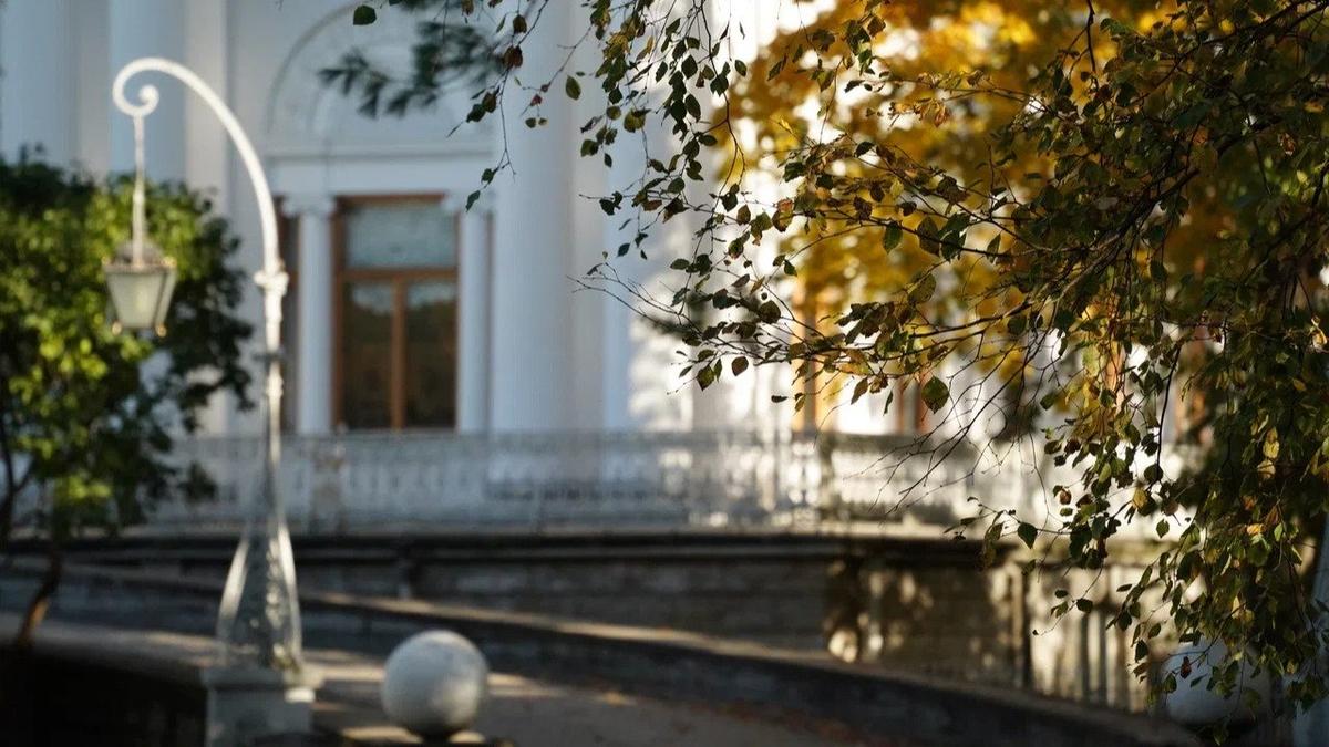 Фото: Павел Борисенко / MR7