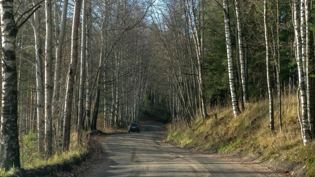 Фото: Олег Золото / MR7