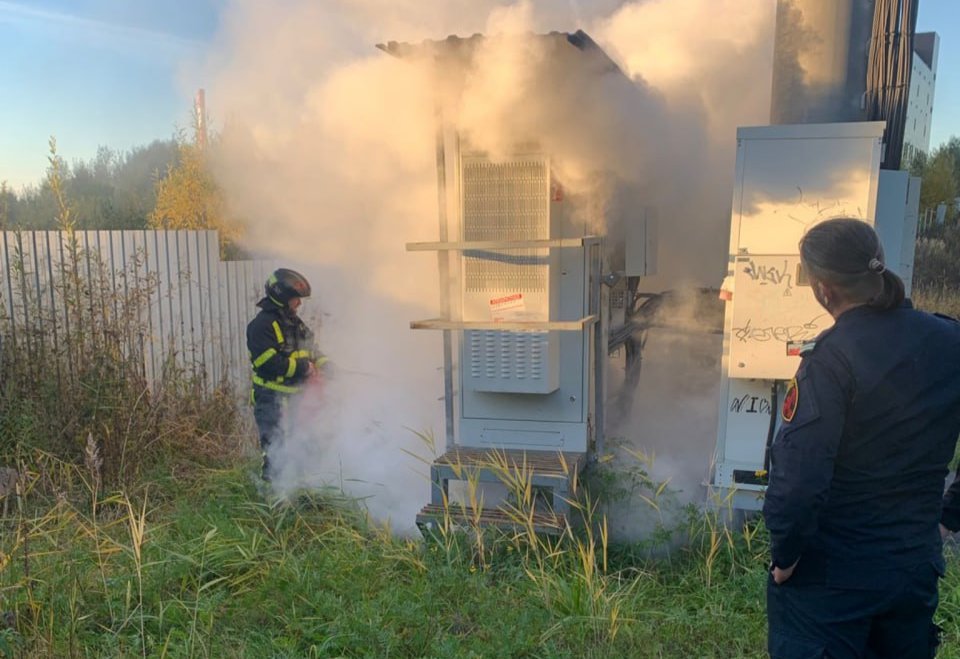 Фото: МВД по Петербургу и Ленобласти