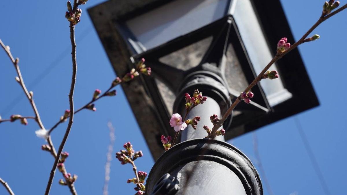 7 поводов выйти из дома 25 — 26 апреля