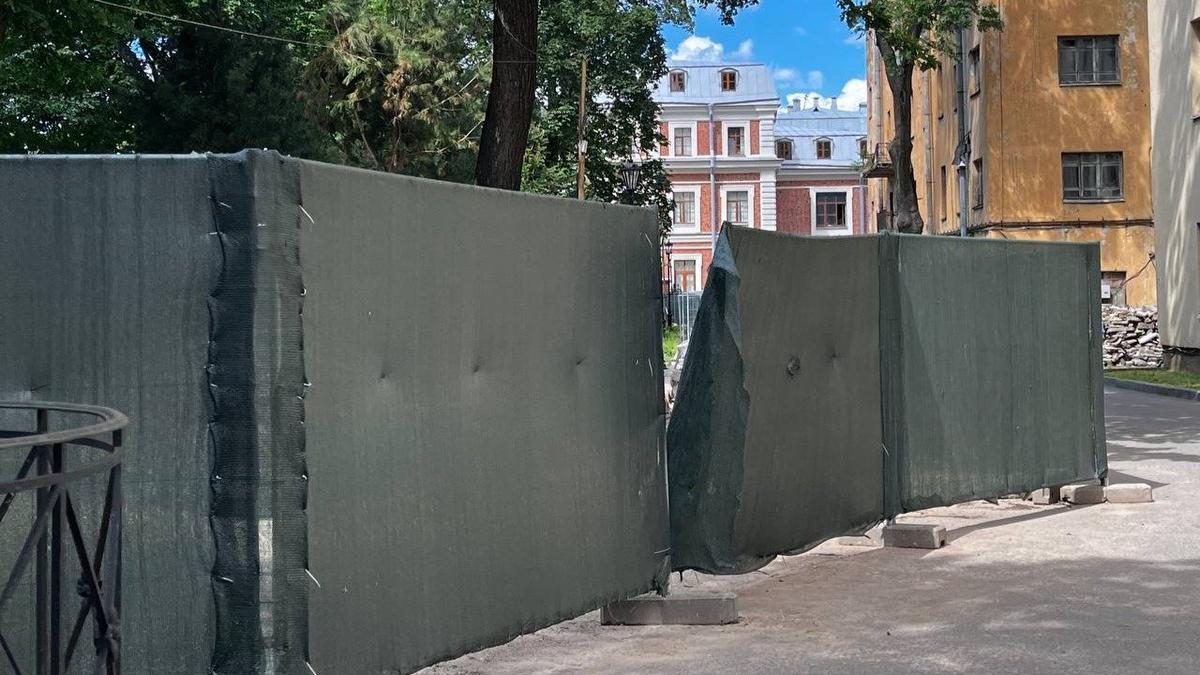 600 бамбуков и новый грот с видом на Исаакий? Что тревожит защитников ботанического сада СПбГУ