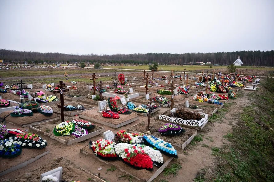Колпинское новое кладбище фото