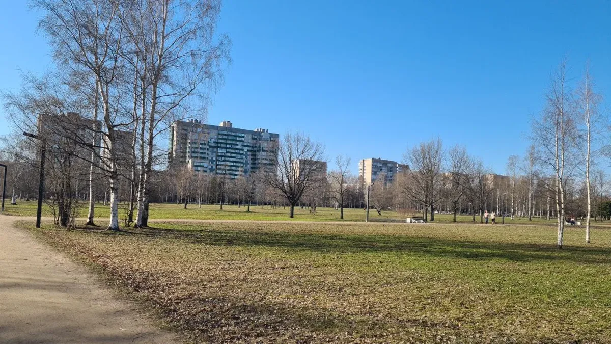 Парк имени Сахарова. Фото: предоставлено местной жительницей