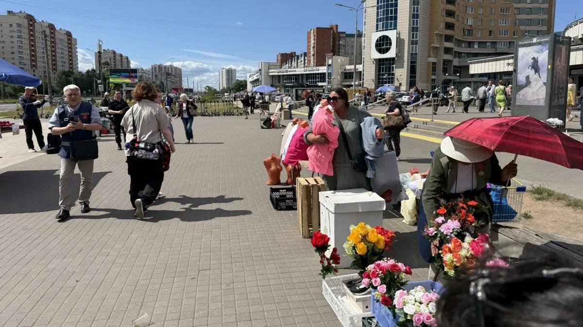 Фото: комитет по вопросам законности
