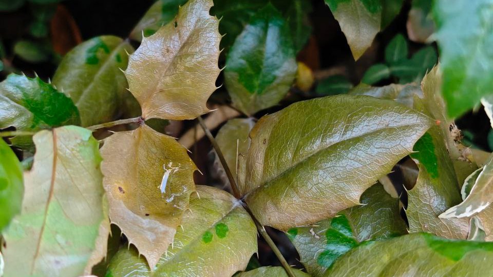 Фото: читатель MR7