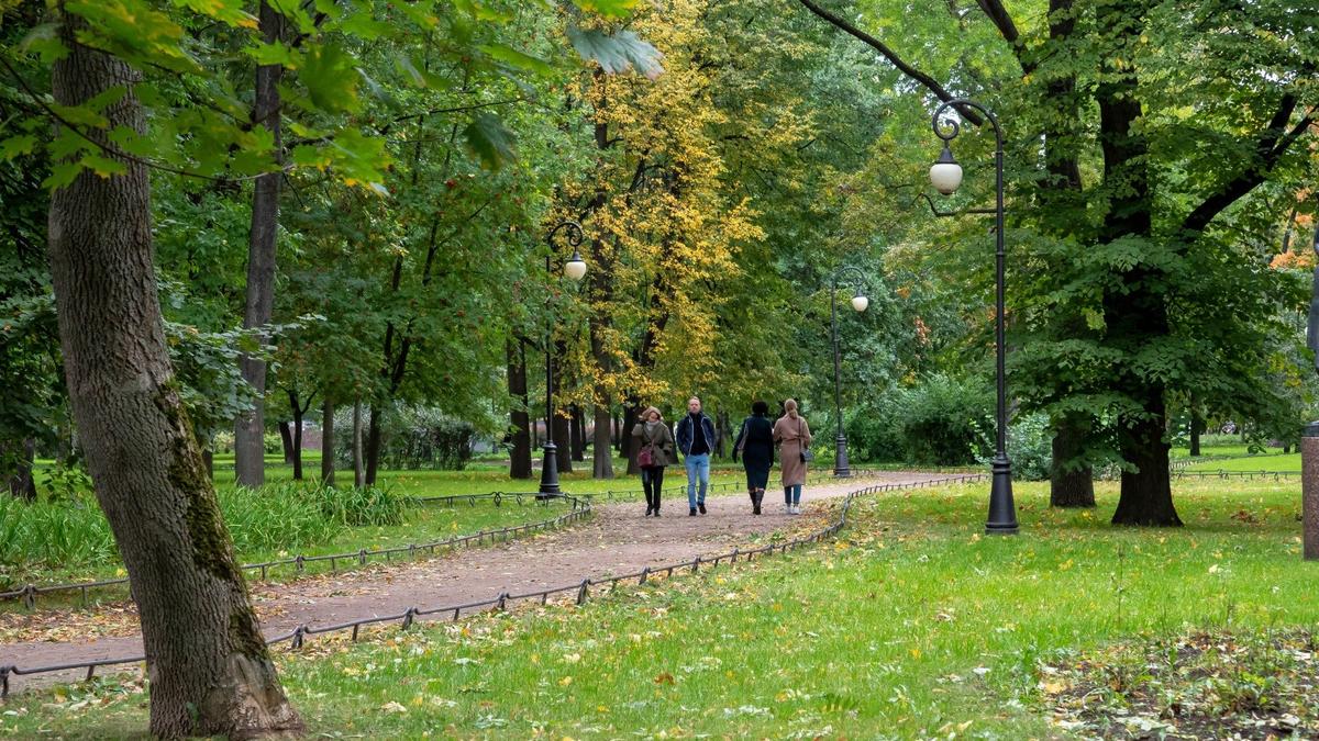 Фото: Олег Золото / МР7