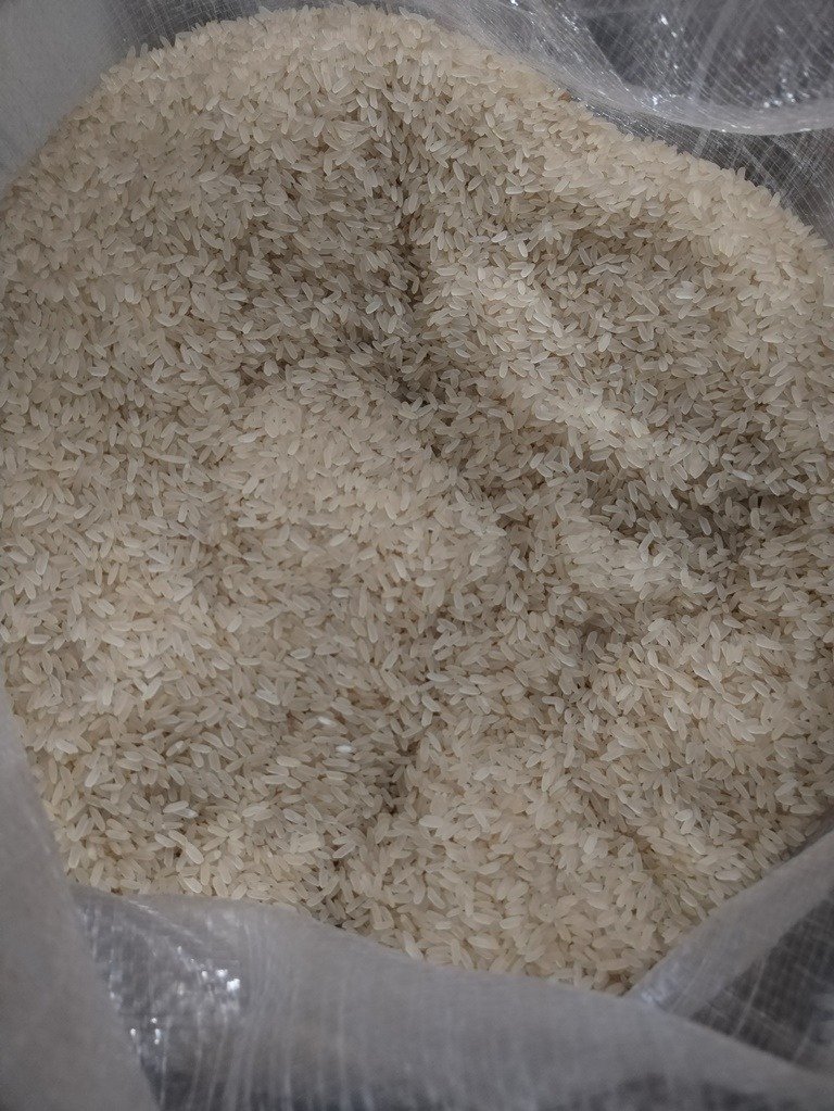 Фото: Россельхознадзор по СЗФО