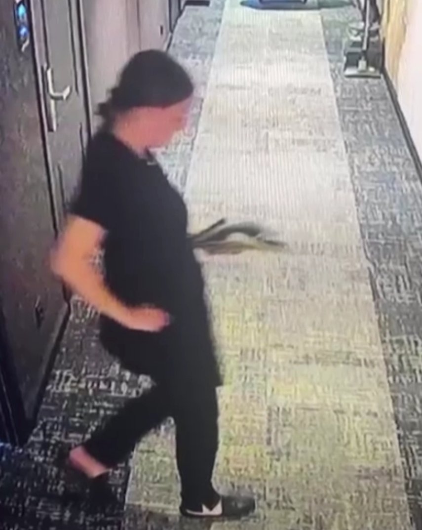 Скриншот: видео пресс-службы ГУ МВД по Петербургу и Ленобласти