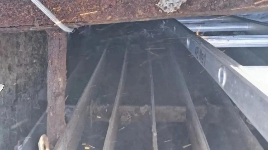 Фото: ГКУ «Леноблпожспас»