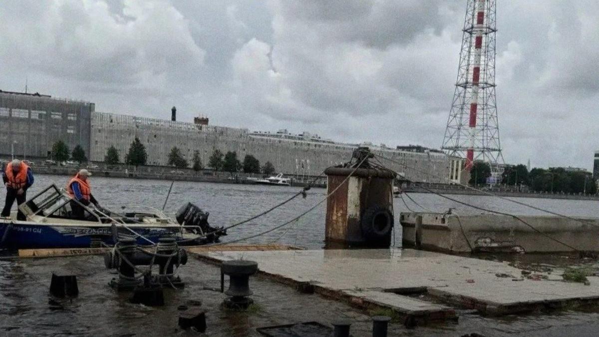 Фото: Росприроднадзор