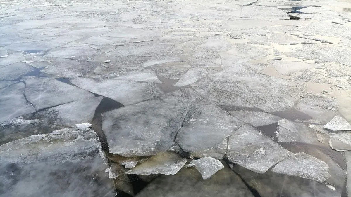 Фото: Виктория Арефьева / MR7