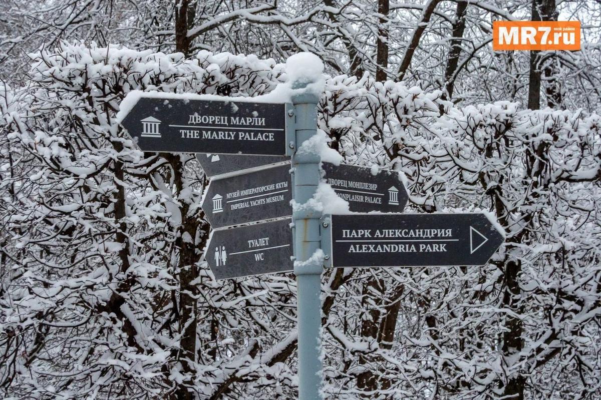 Фото: Олег Золото / MR7