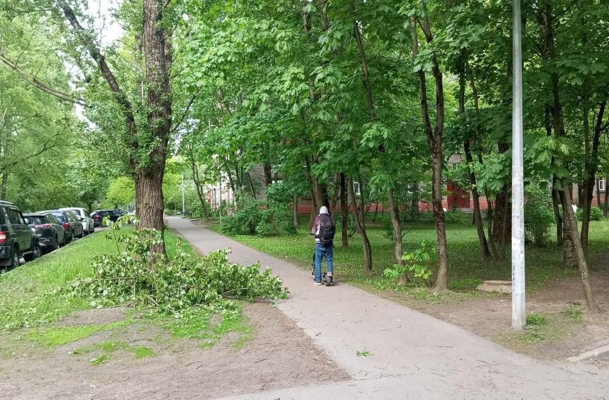 Гданьская улица. фото: МР7