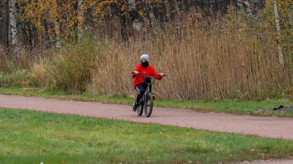 Петербурженка сбила восьмилетнего мальчика, пересекавшего дорогу на велосипеде