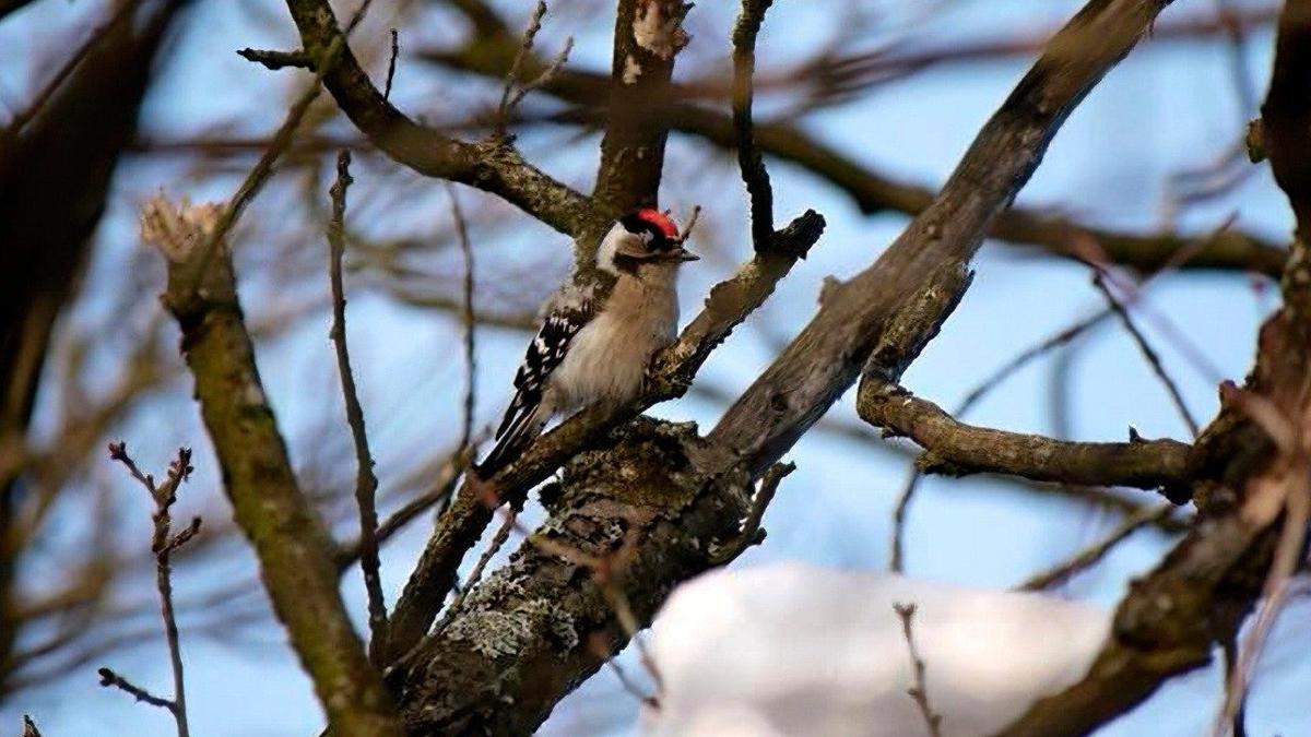 Фото: Павел Глазков / «Каждой твари по паре»