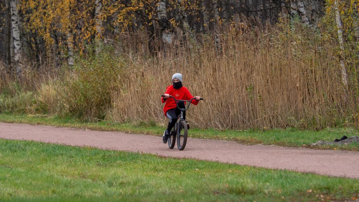 «Не более 10 км/ч»: ЦПКиО ввёл новые правила для велосипедистов