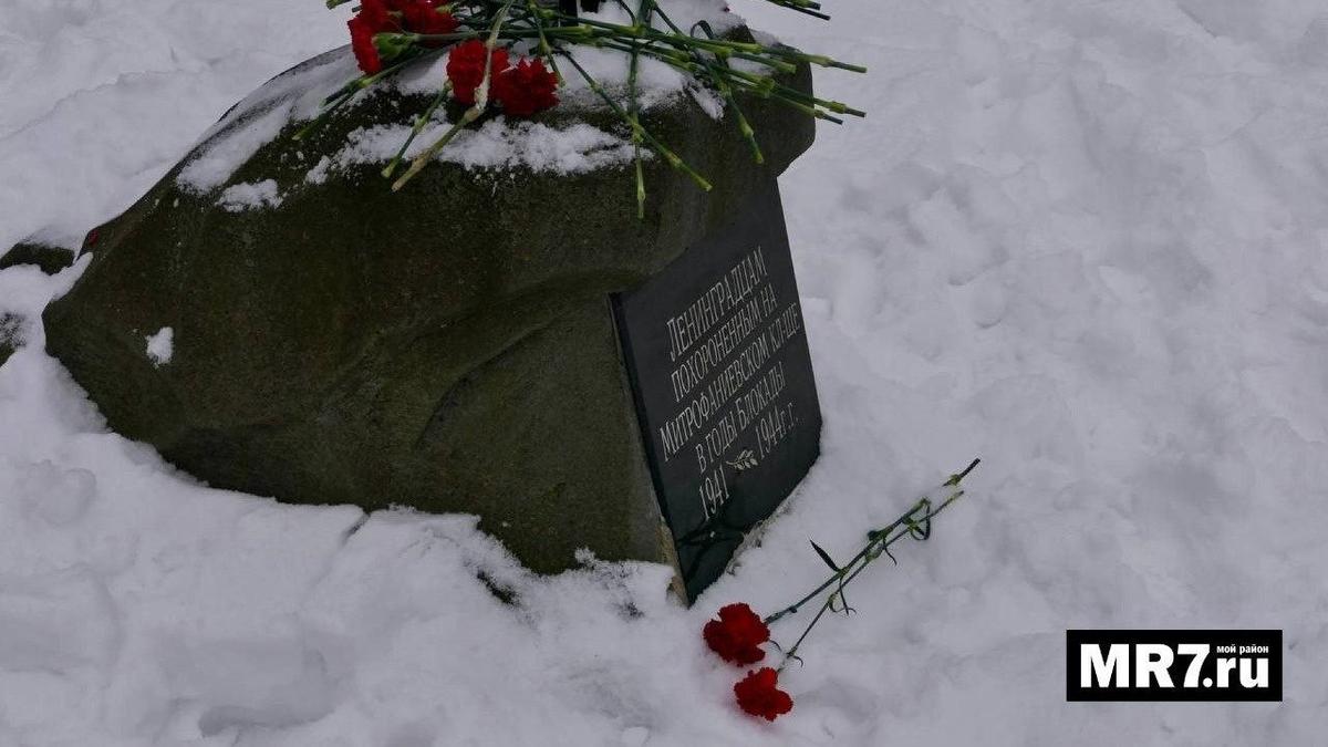 Фото: Дарья Дмитриева / МР7