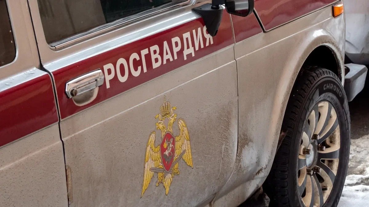 Фото: Олег Золото / МР7