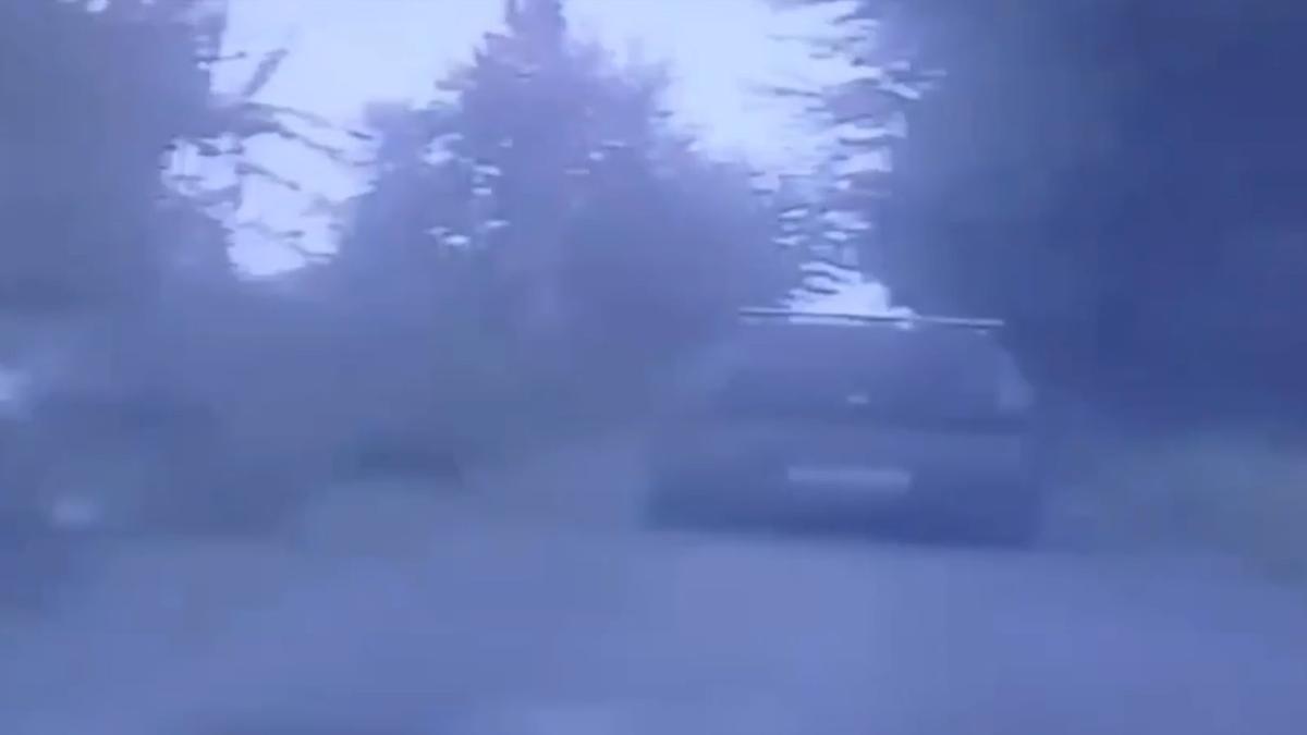 Скриншот видео: МВД по Петербургу и Ленобласти
