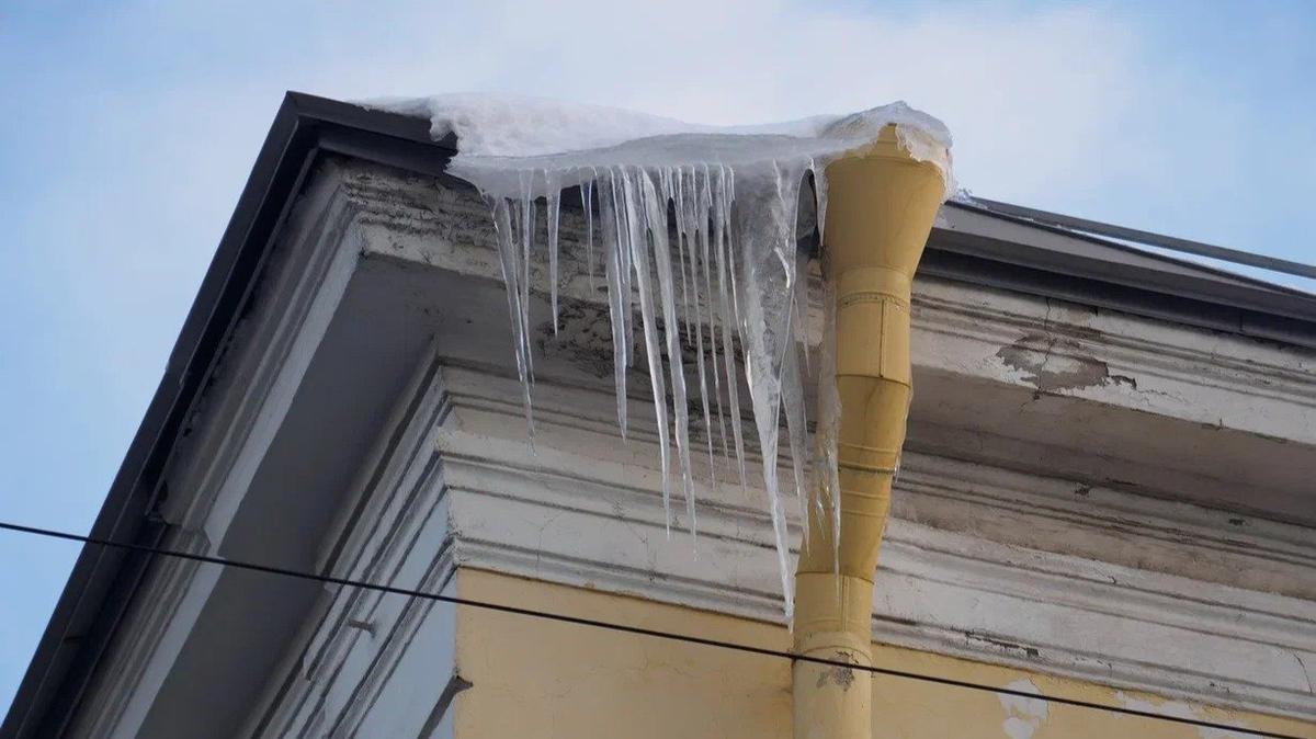 Фото: Дмитрий Абрамов / MR7