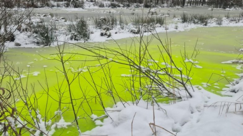 Фото: telegram-канале «ВСЕВОЛОЖСК»