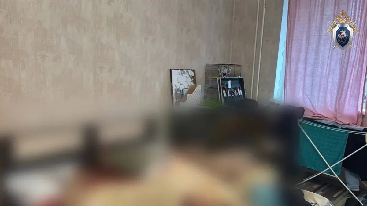 Фото: ГСУ СК РФ по Петербургу