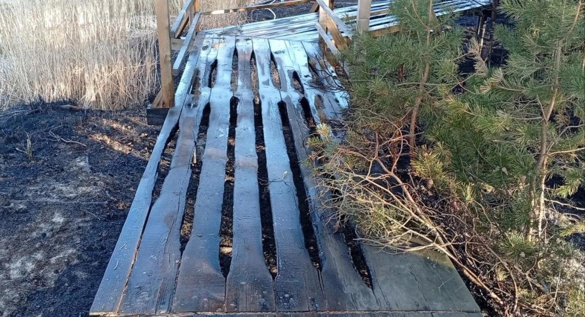 Фото: ЛОГБУ «Дирекция ООПТ Ленинградской области»