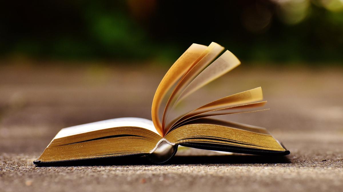 В Петербурге запустили сбор книг для благотворительного маркета в поддержку бездомных