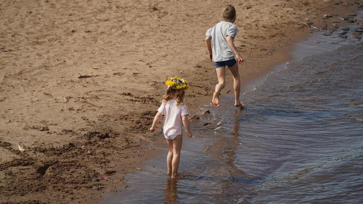 Фото: Павел Борисенко / МР7