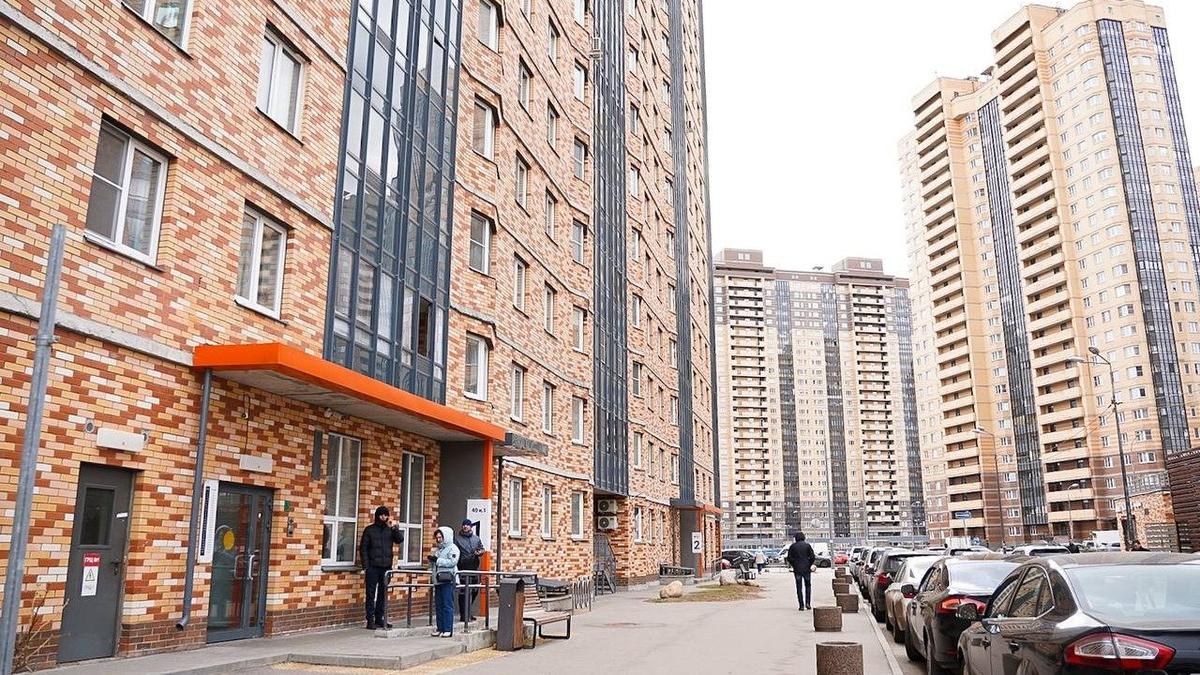 Вице-губернатор Разумишкин проинспектировал уборку дворов на Парнасе после жалоб петербуржцев