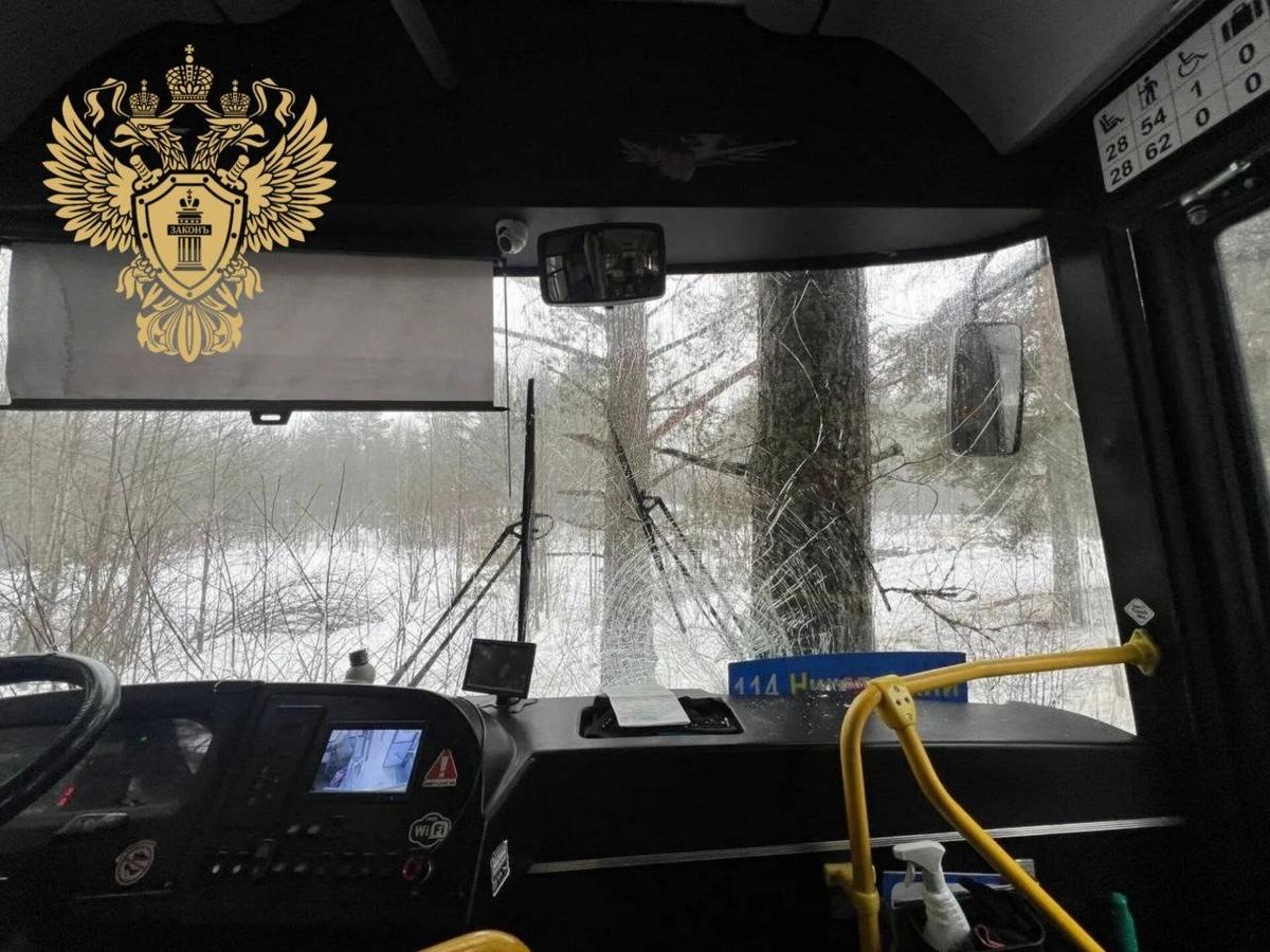 Фото: прокуратура Ленобласти