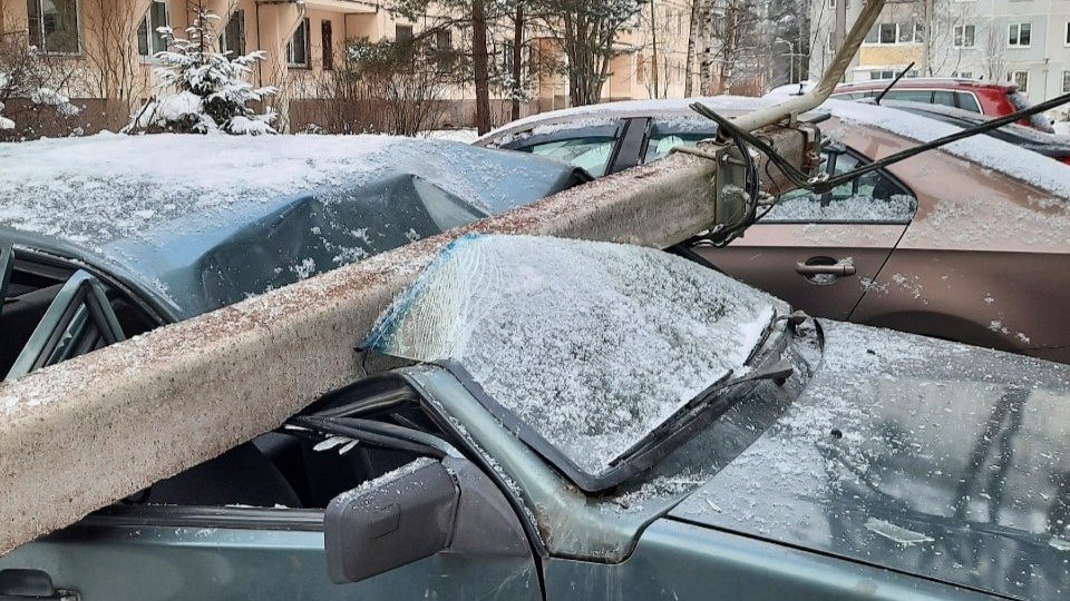 Фото: «Сертолово онлайн»