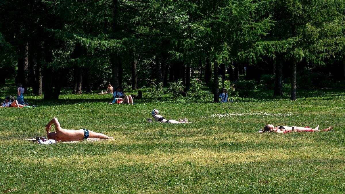 Во второй половине недели в Петербург и Ленобласть придут ливни и грозы