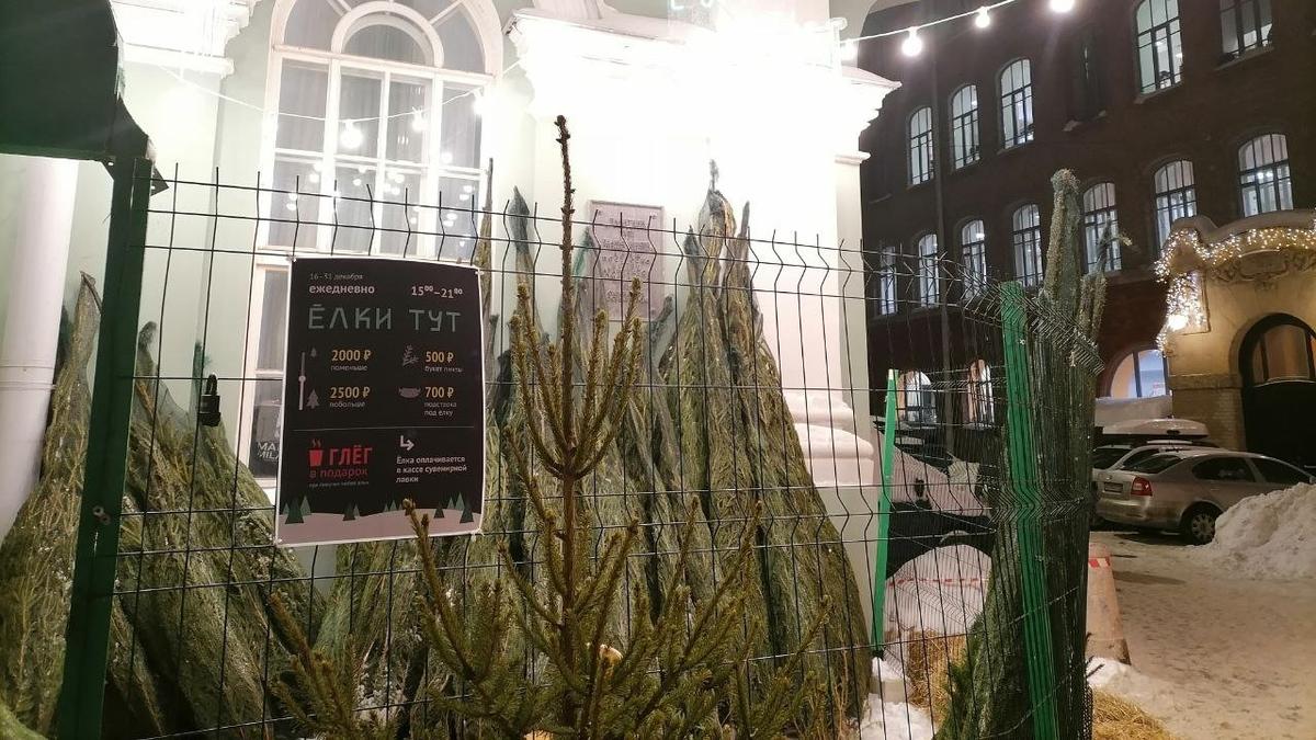 Фото: Елена Михина / MR7