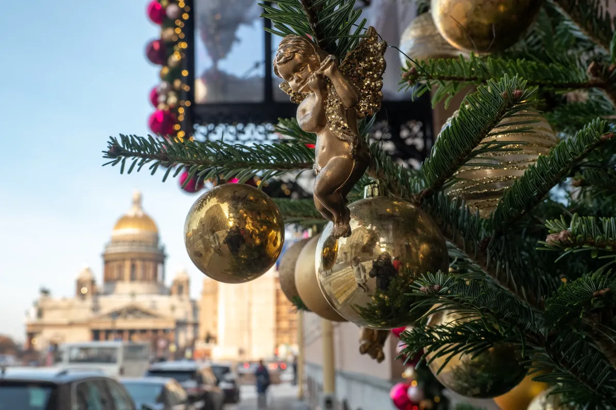 Где купить ёлку в Петербурге. Делимся адресами городских ёлочных базаров. —  Новости Санкт-Петербурга › МР7.ру