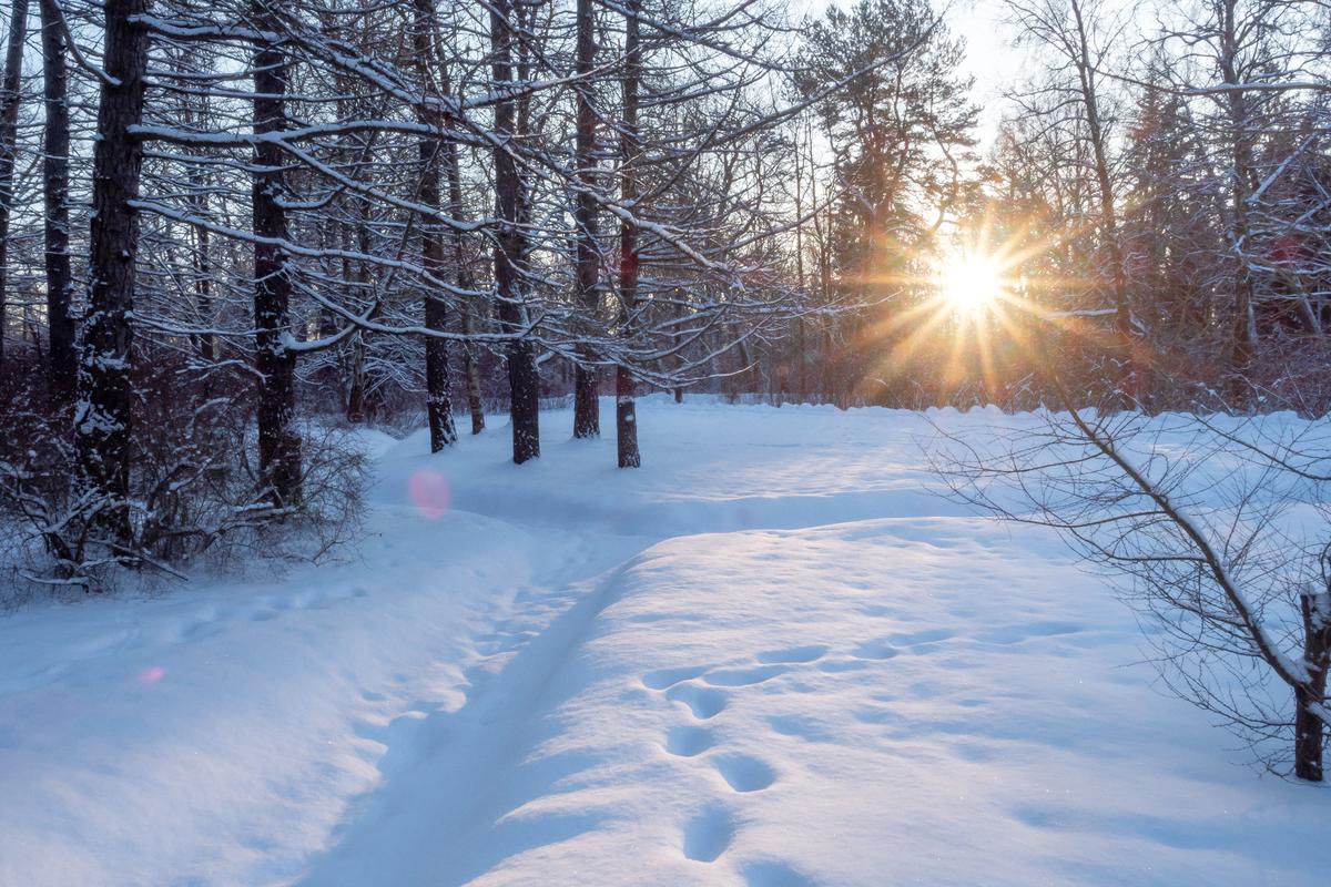 Фото: Олег Золото / MR7