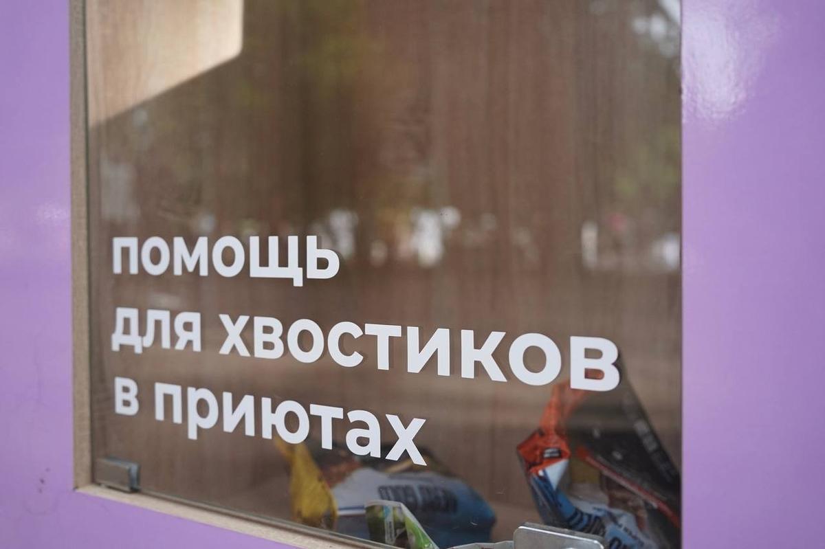 Фото: Павел Борисенко / МР7