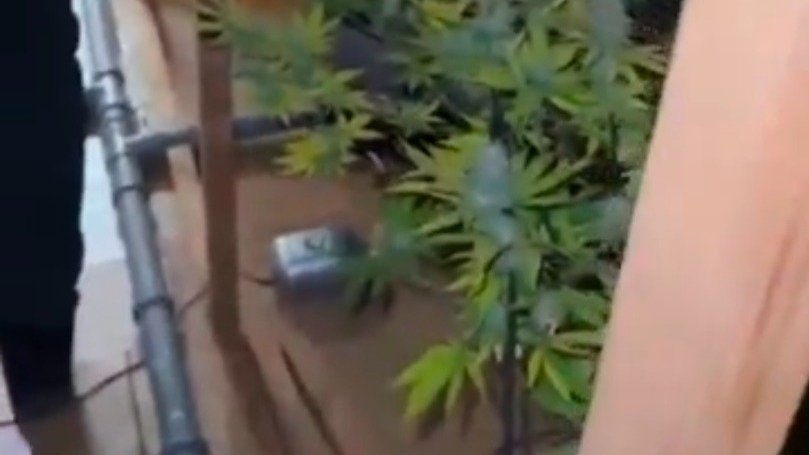 Скриншот видео от ГУ МВД по Петербургу и Ленобласти