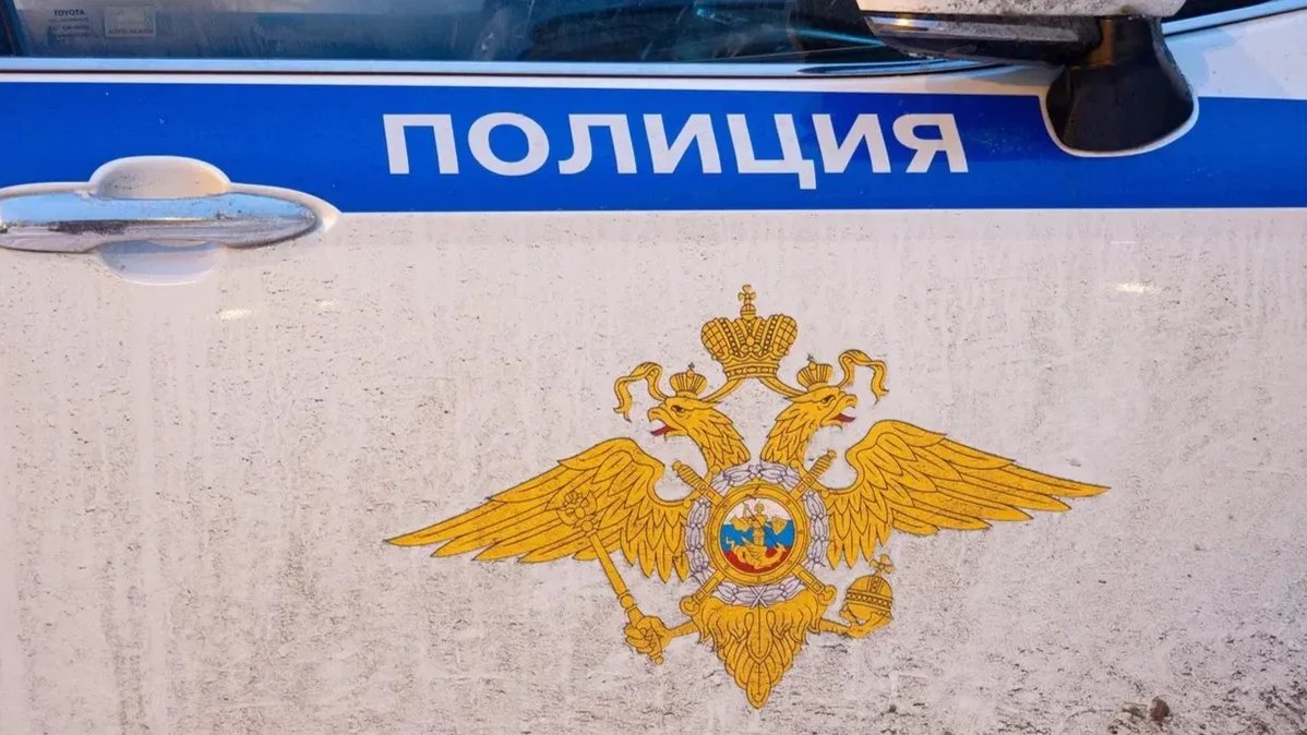 В Петербурге задержали подростков по подозрению в избиении двойника Ленина
