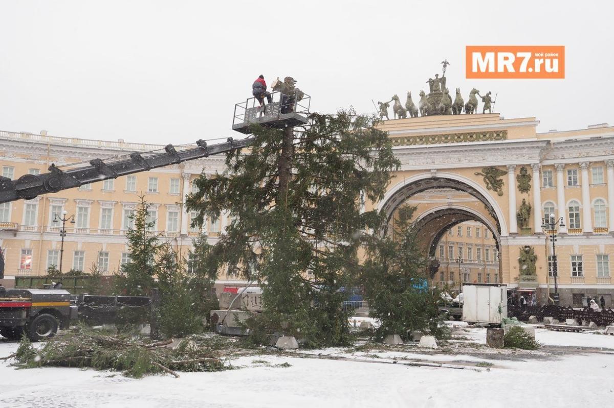 Фото: Олег Золото / MR7
