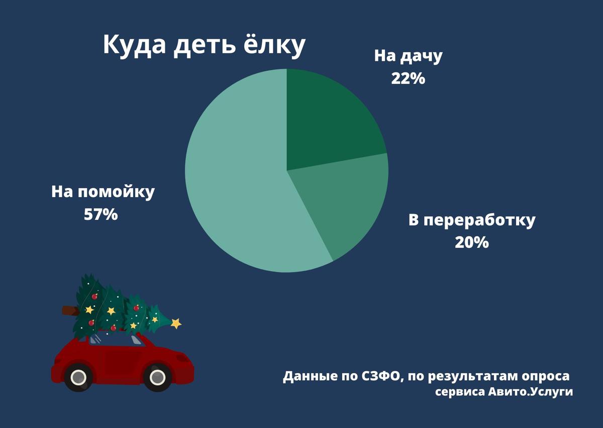 Инфографика: MR7