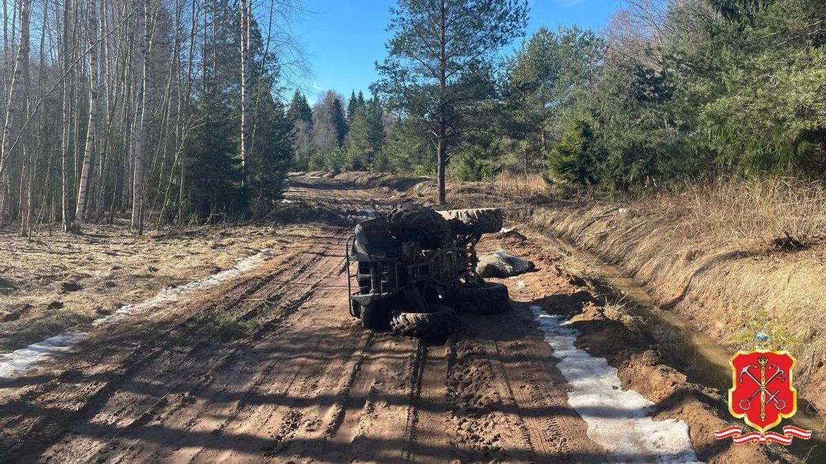 Фото: ГУ МВД РФ по Петербургу и Ленобласти