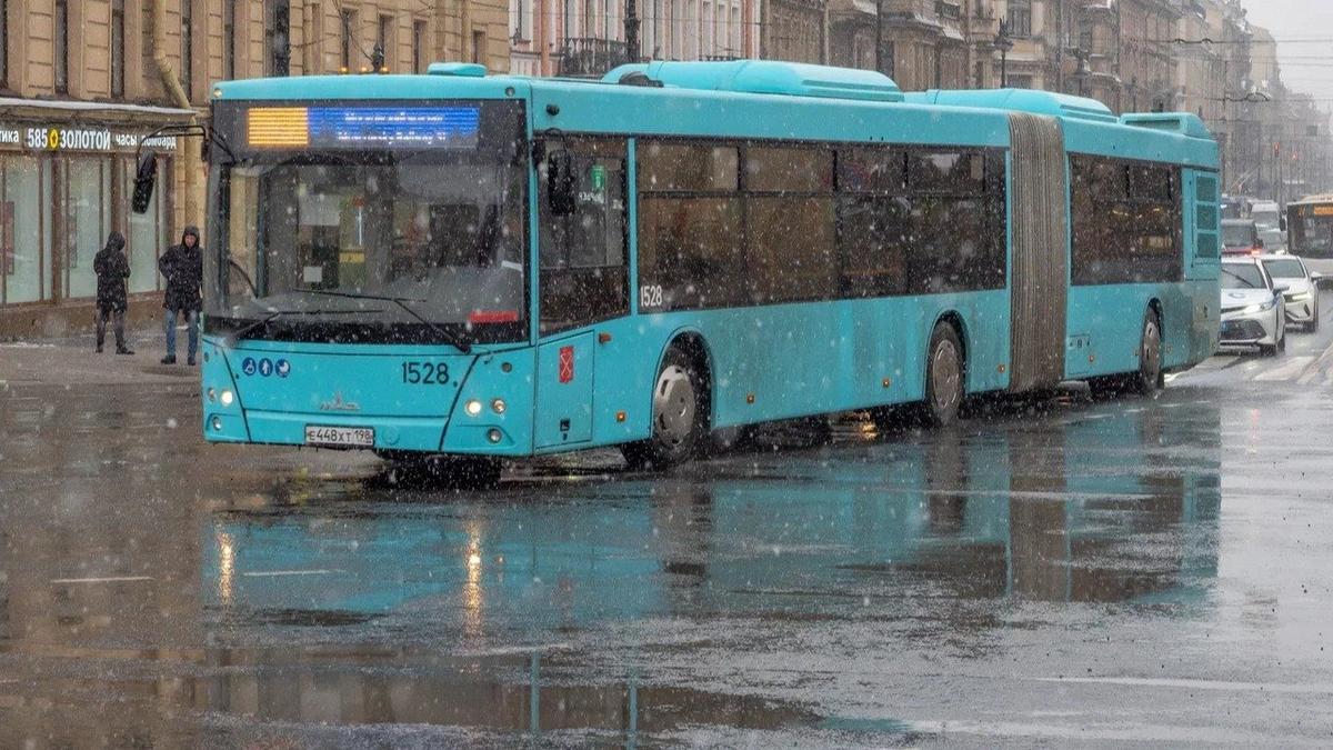 Фото: Олег Золото / MR7