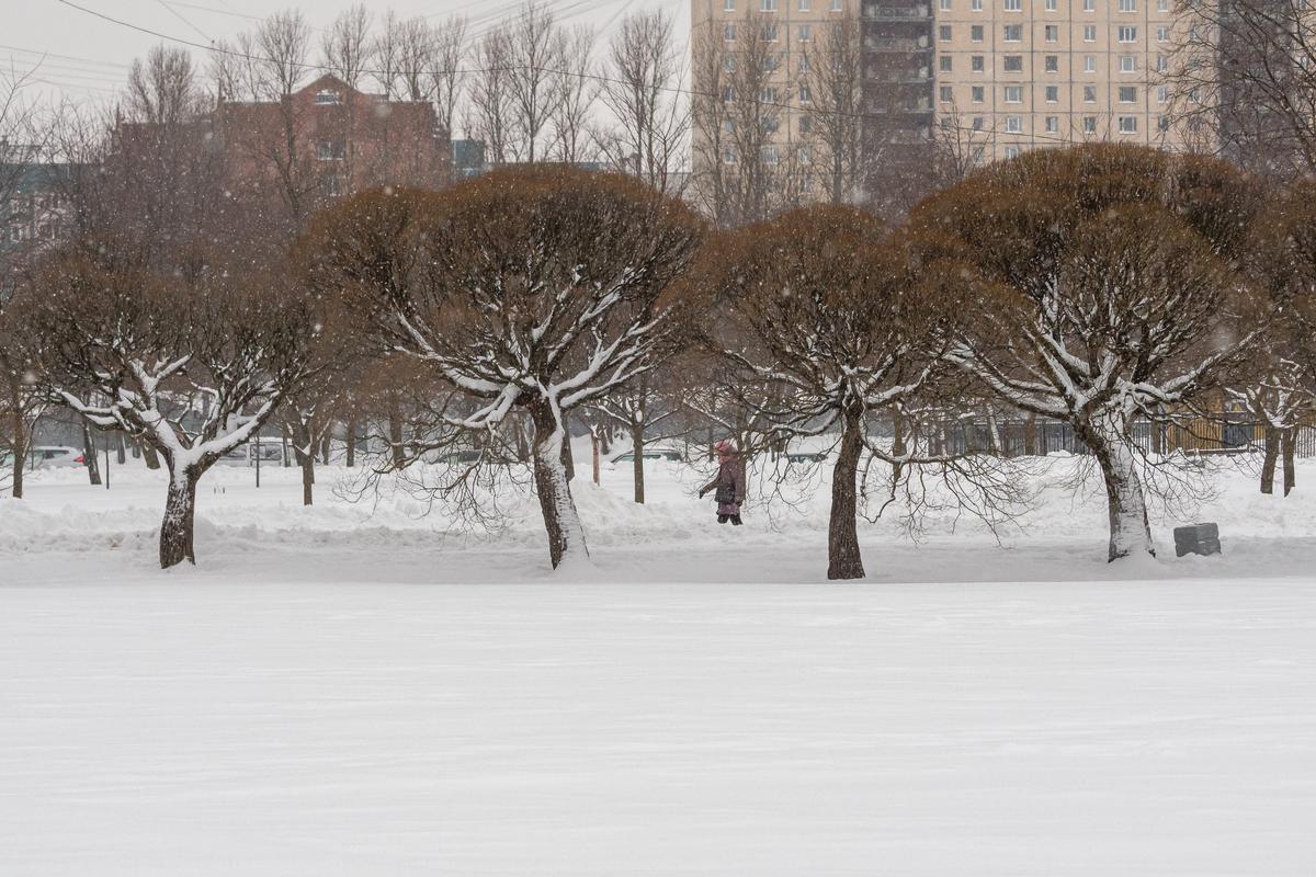 Фото: Олег Золото / MR7