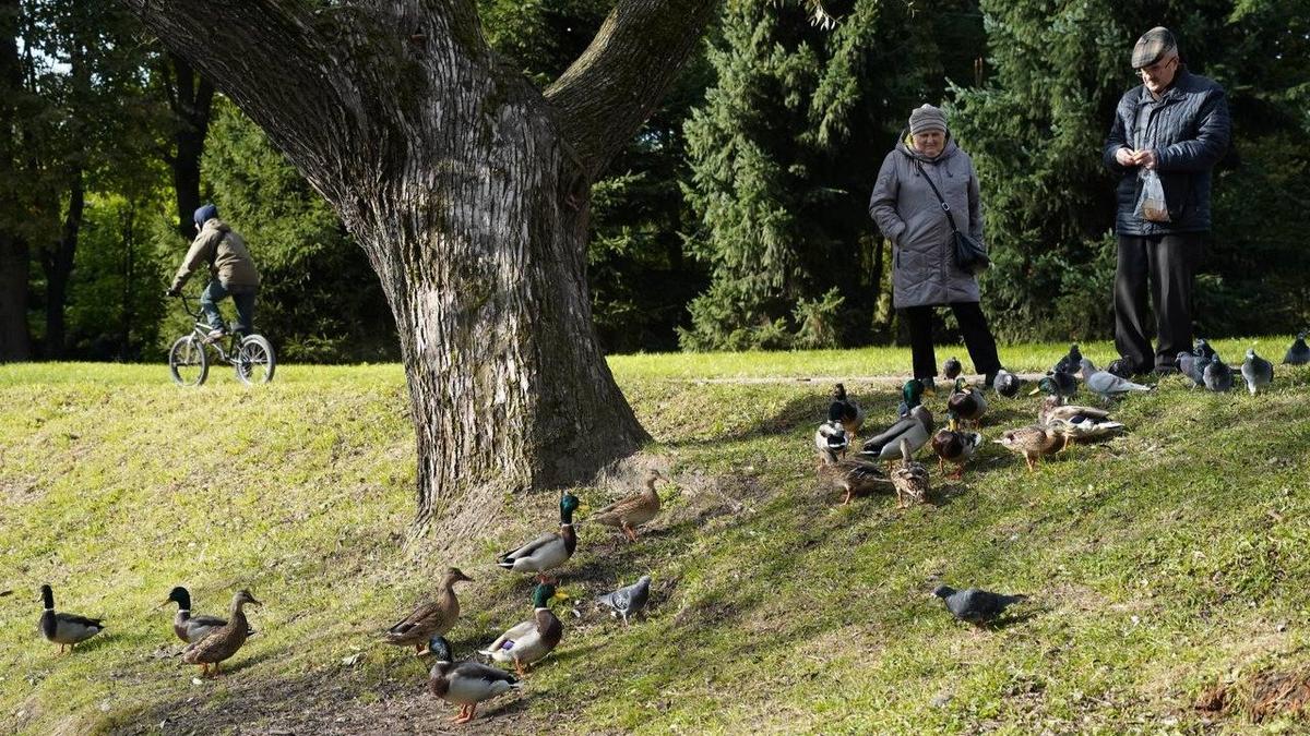 Тёплая осень в Петербурге — ещё не золотая, но сухая и прогулочная