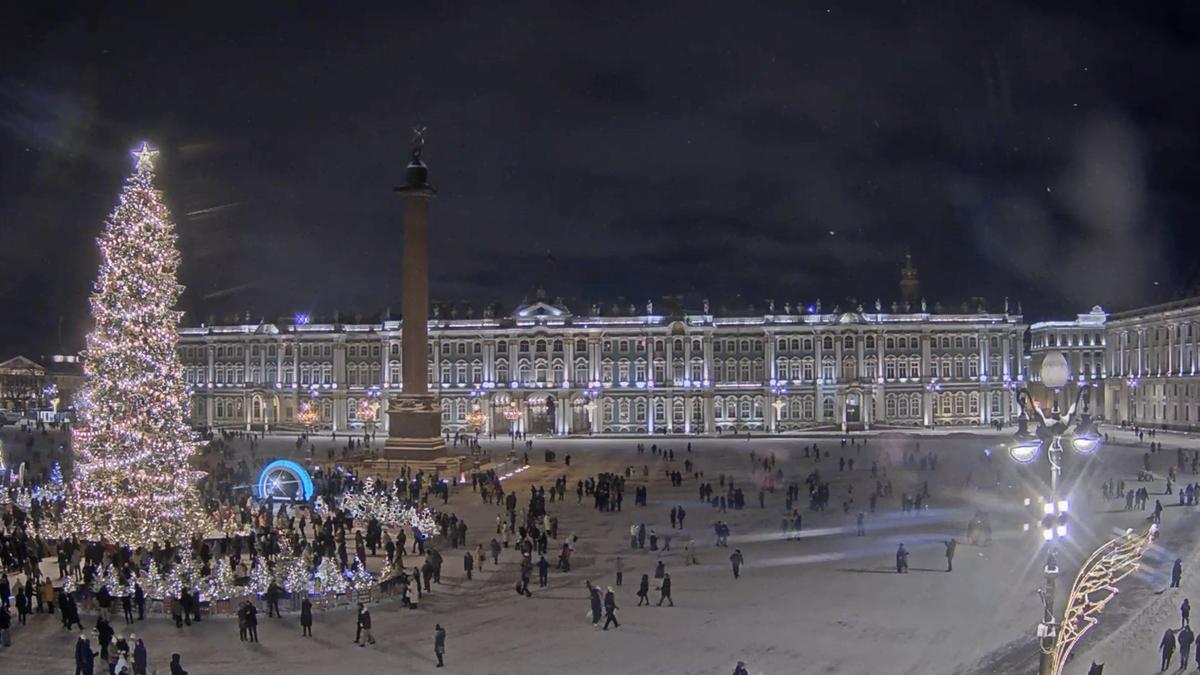 Скриншот: снимок веб-камеры с официального сайта Эрмитажа