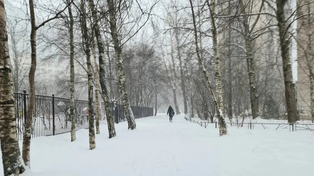 Фото: Олег Золото / MR7